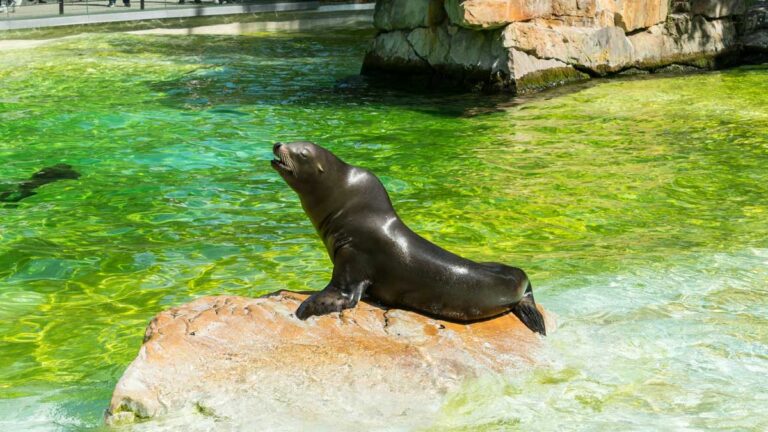 Tierpark Berlin in Berlin, Germany.