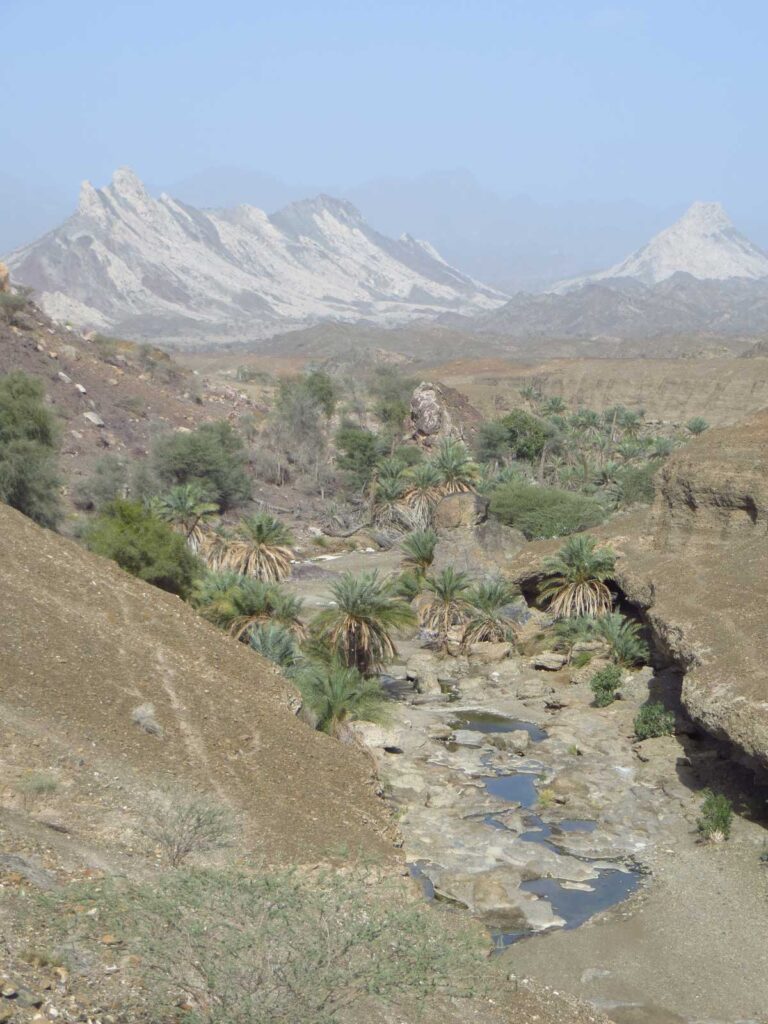 Wadi Shuwayhah from above.
