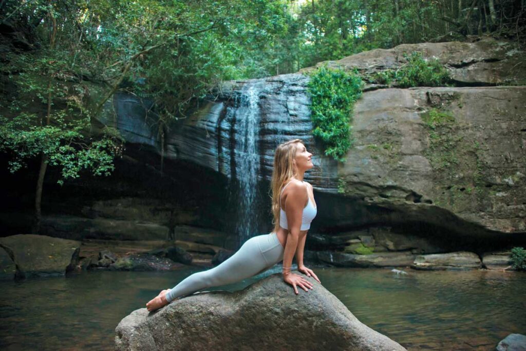 Buderim Falls on the Sunshine Coast, Queensland.