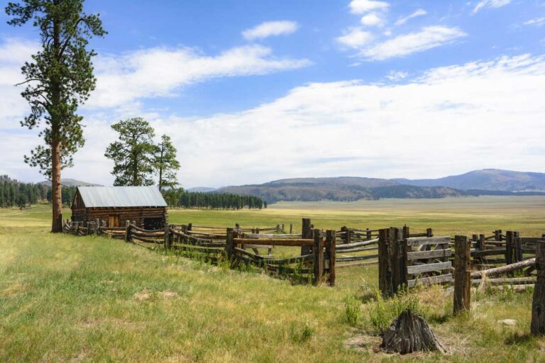 Valles Caldera in New Mexico.