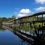 The Mandai Boardwalk in Singapore.