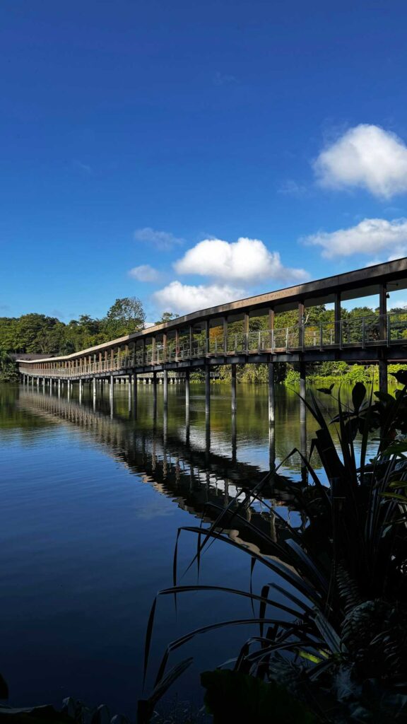 The Mandai Boardwalk in Singapore.
