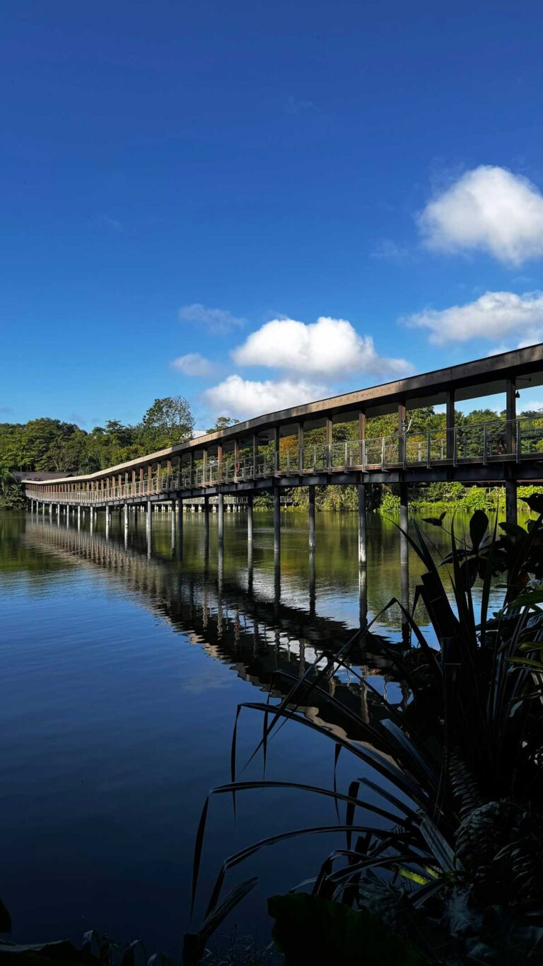 The Mandai Boardwalk in Singapore.