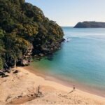 Resolute Beach near the Aboriginal Heritage Walk in Ku-Ring-Gai Chase National Park.