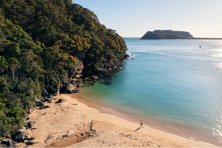 Resolute Beach near the Aboriginal Heritage Walk in Ku-Ring-Gai Chase National Park.
