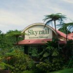 The Skyrail Rainforest Cableway in Cairns, Queensland.