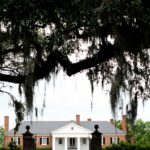 Boone Hall Plantation near Charleston, South Carolina.