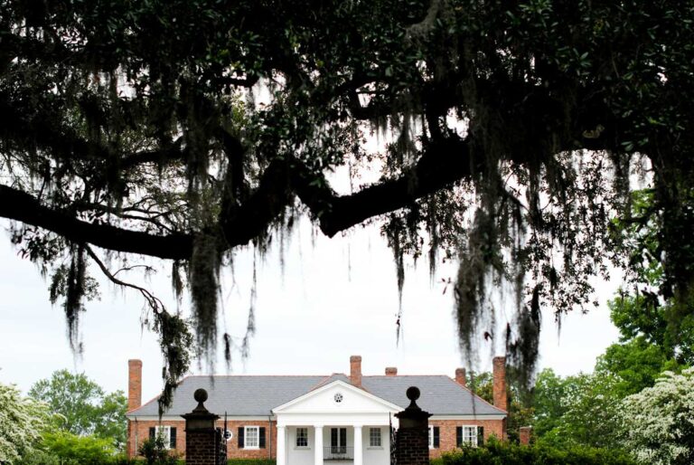 Boone Hall Plantation near Charleston, South Carolina.