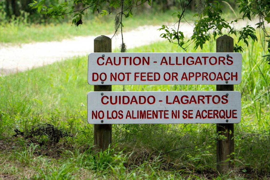 An alligator warning sign at Brazos Bend State Park near Houston, Texas.