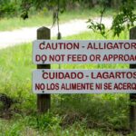 An alligator warning sign at Brazos Bend State Park near Houston, Texas.