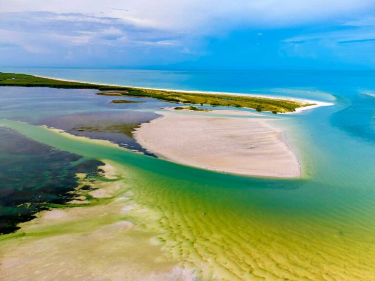 Caladesi Island in Florida.