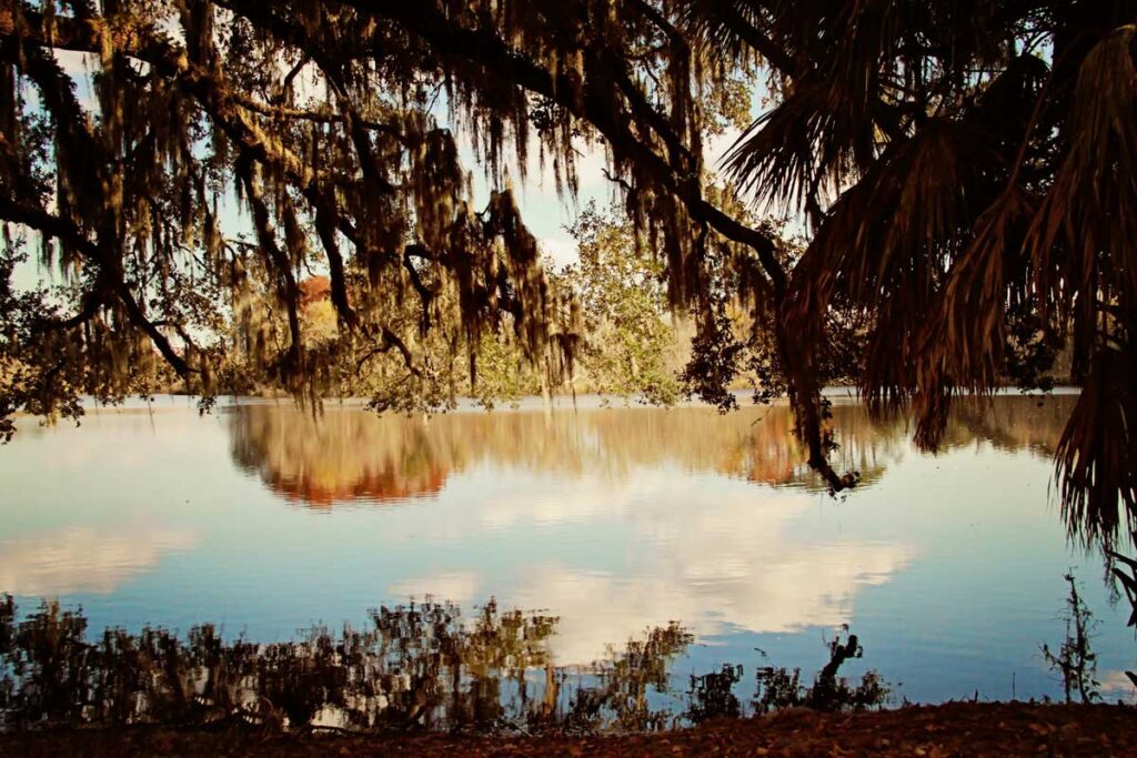 Gainesville, Florida.