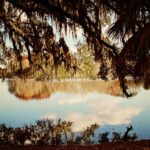 Gainesville, Florida.