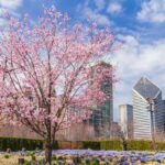 Lurie Garden in Chicago.