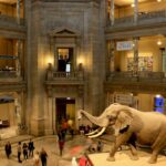 The Smithsonian National Museum of Natural History in Washington DC.