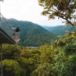 Mamu Tropical Skywalk near Innisfail, Queensland.
