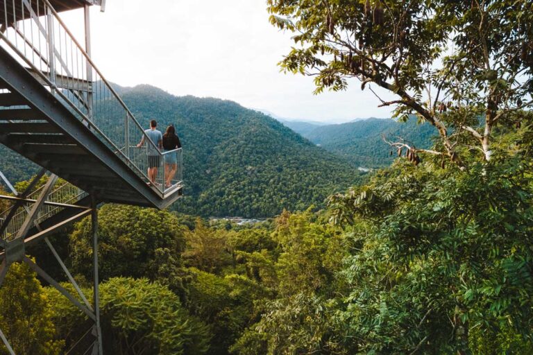 Mamu Tropical Skywalk near Innisfail, Queensland.