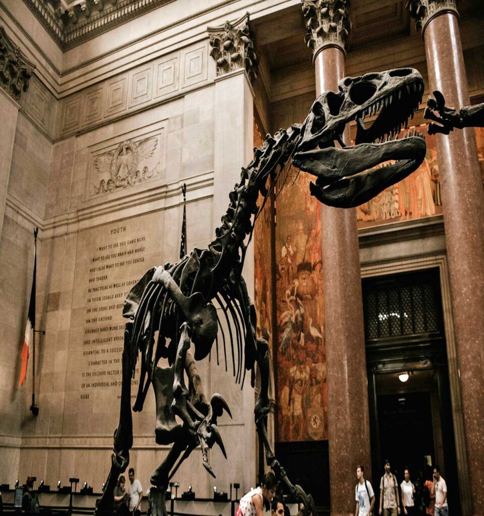 The American Museum of Natural History in New York City.