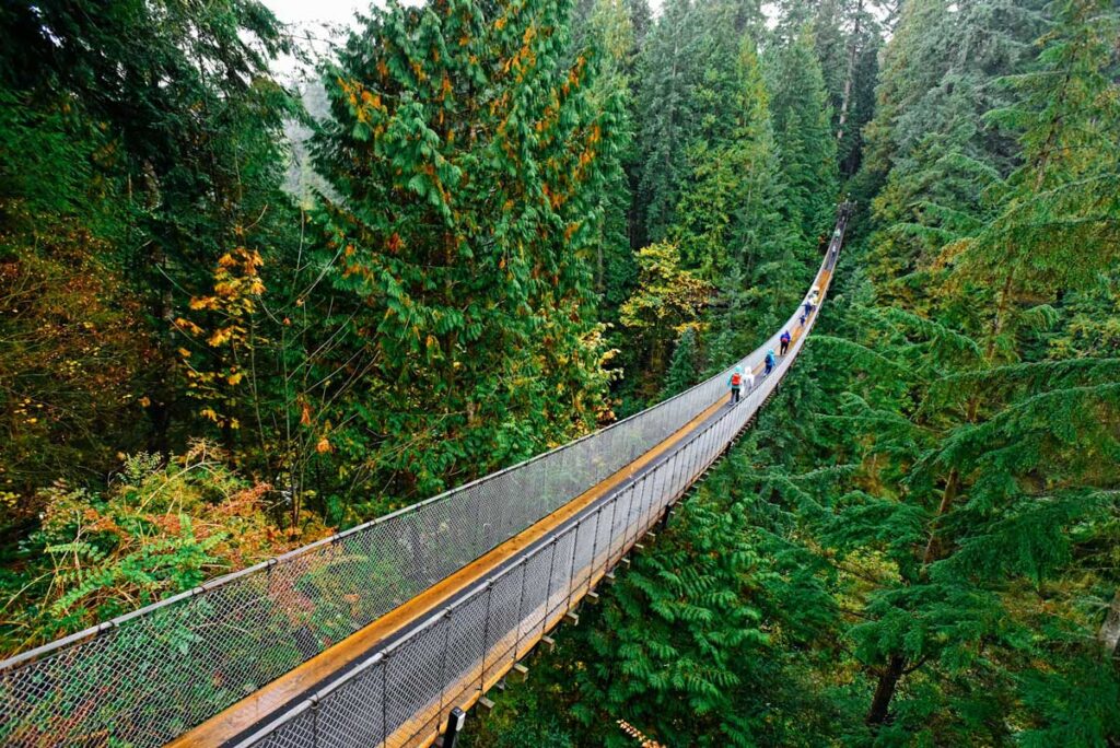 The Capilano Suspension Bridge in North Vancouver, British Columbia.