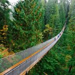 The Capilano Suspension Bridge in North Vancouver, British Columbia.