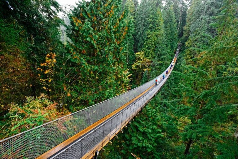 The Capilano Suspension Bridge in North Vancouver, British Columbia.