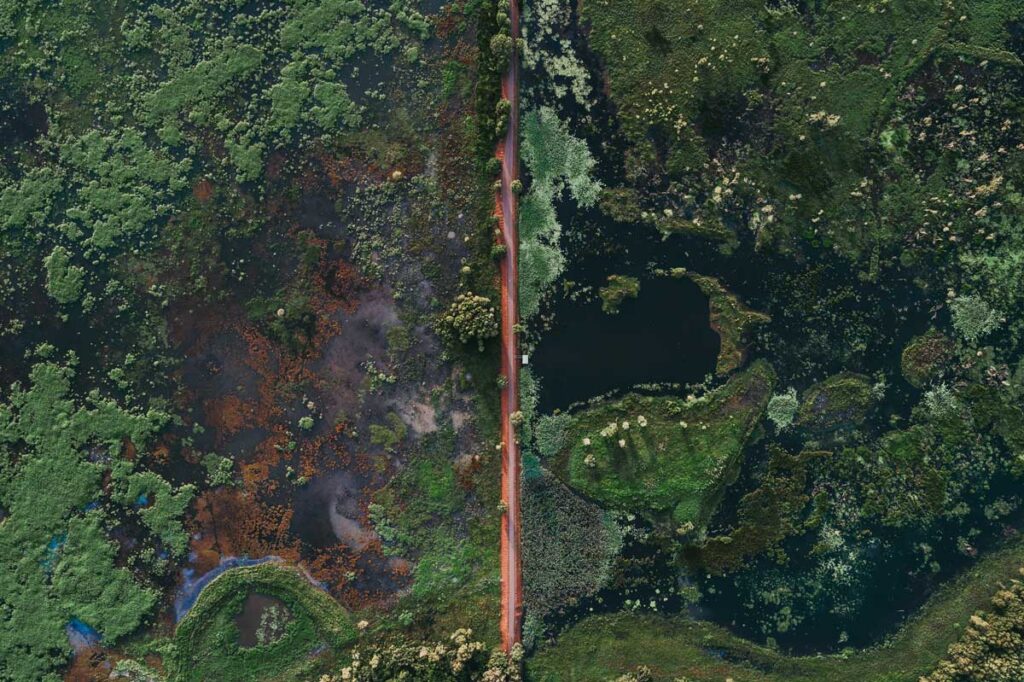 Fogg Dam Conservation Reserve, Northern Territory.