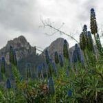Jardines de Alfabia in Mallorca, Spain.