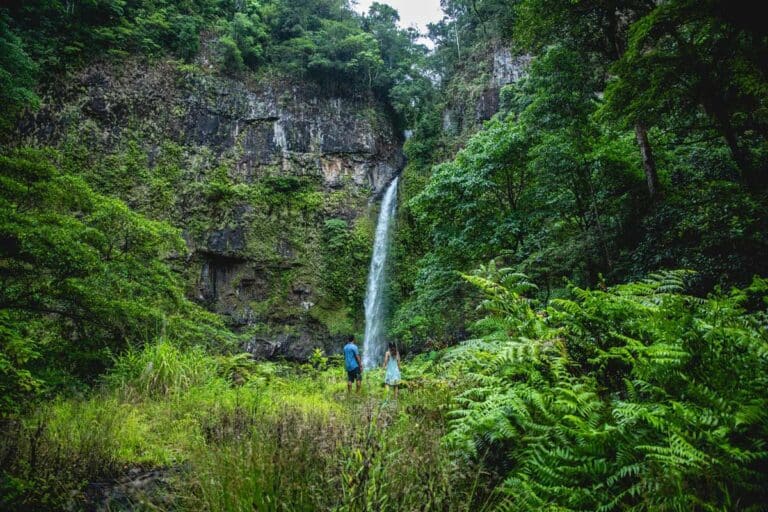 Nandroya Falls near Innisfail, Queensland.