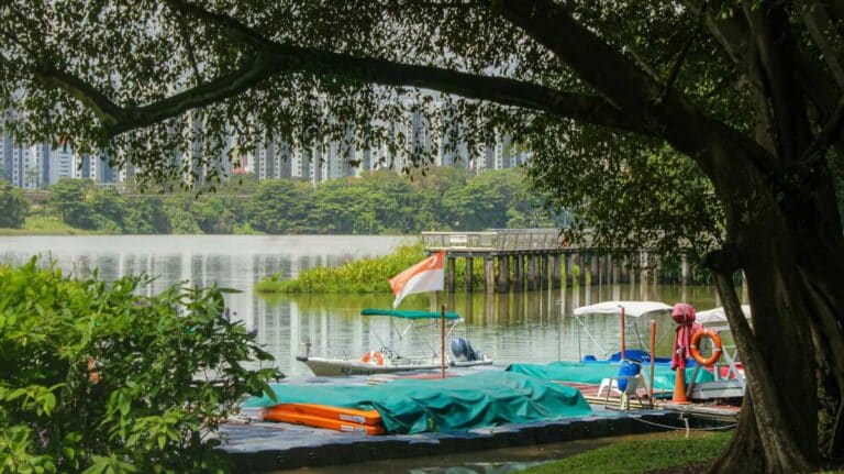 Jurong Lake Gardens in Singapore.