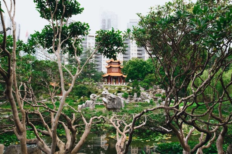 The Chinese Garden of Friendship in Sydney, New South Wales.