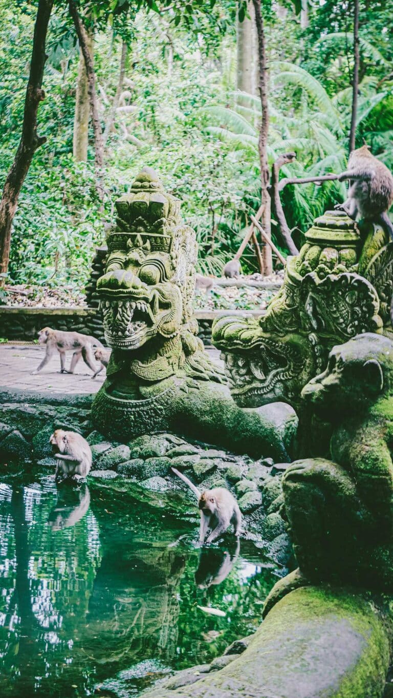 The Sacred Monkey Forest Sanctuary in Ubud, Bali.