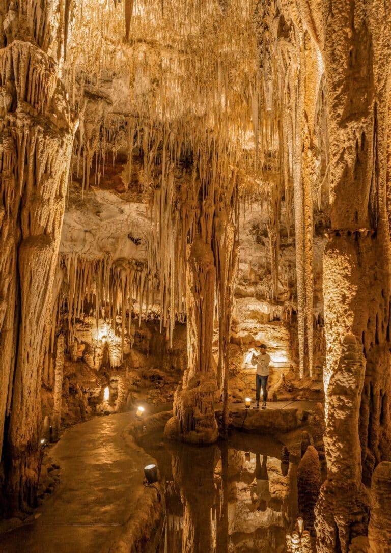 The Tantanoola Caves on South Australia's Limestone Coast.